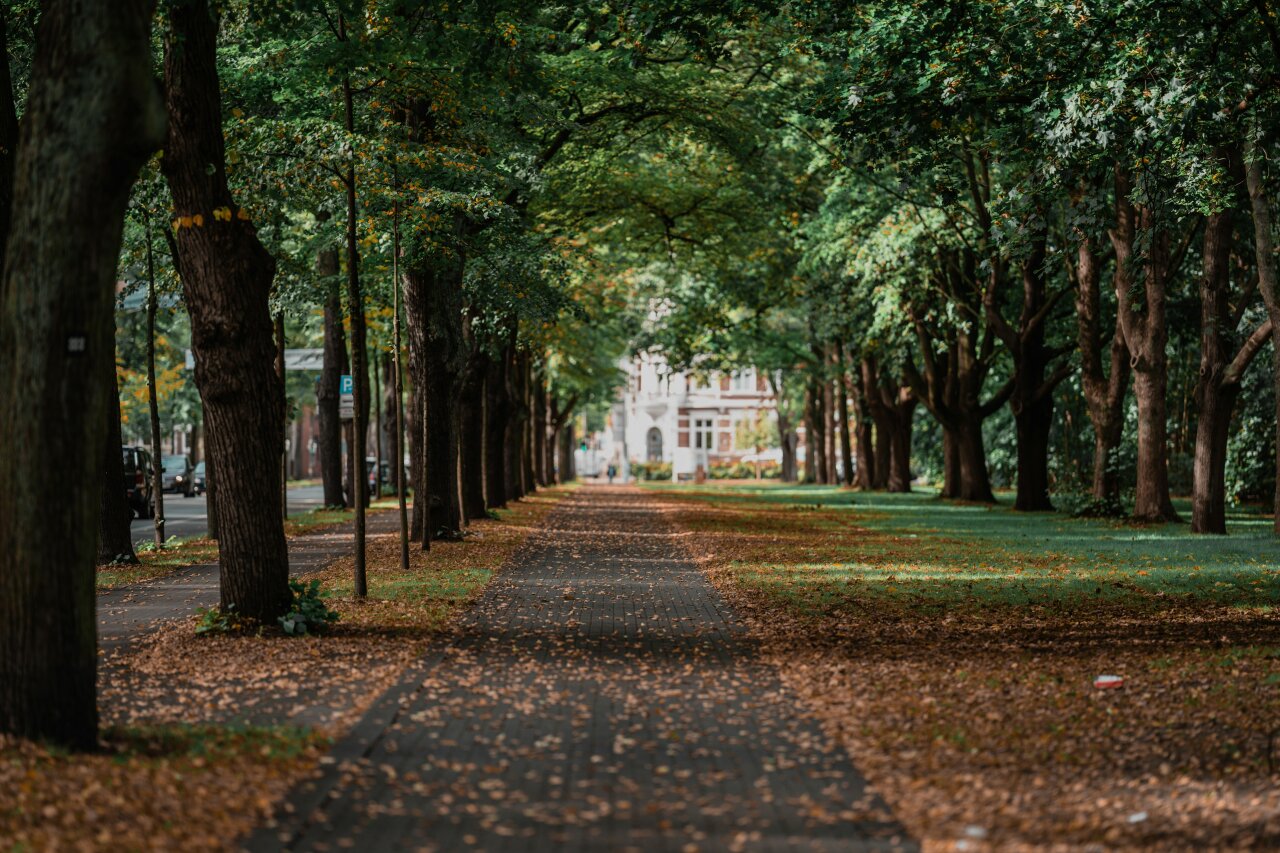 EGIDO Steuerberatung für Hamm